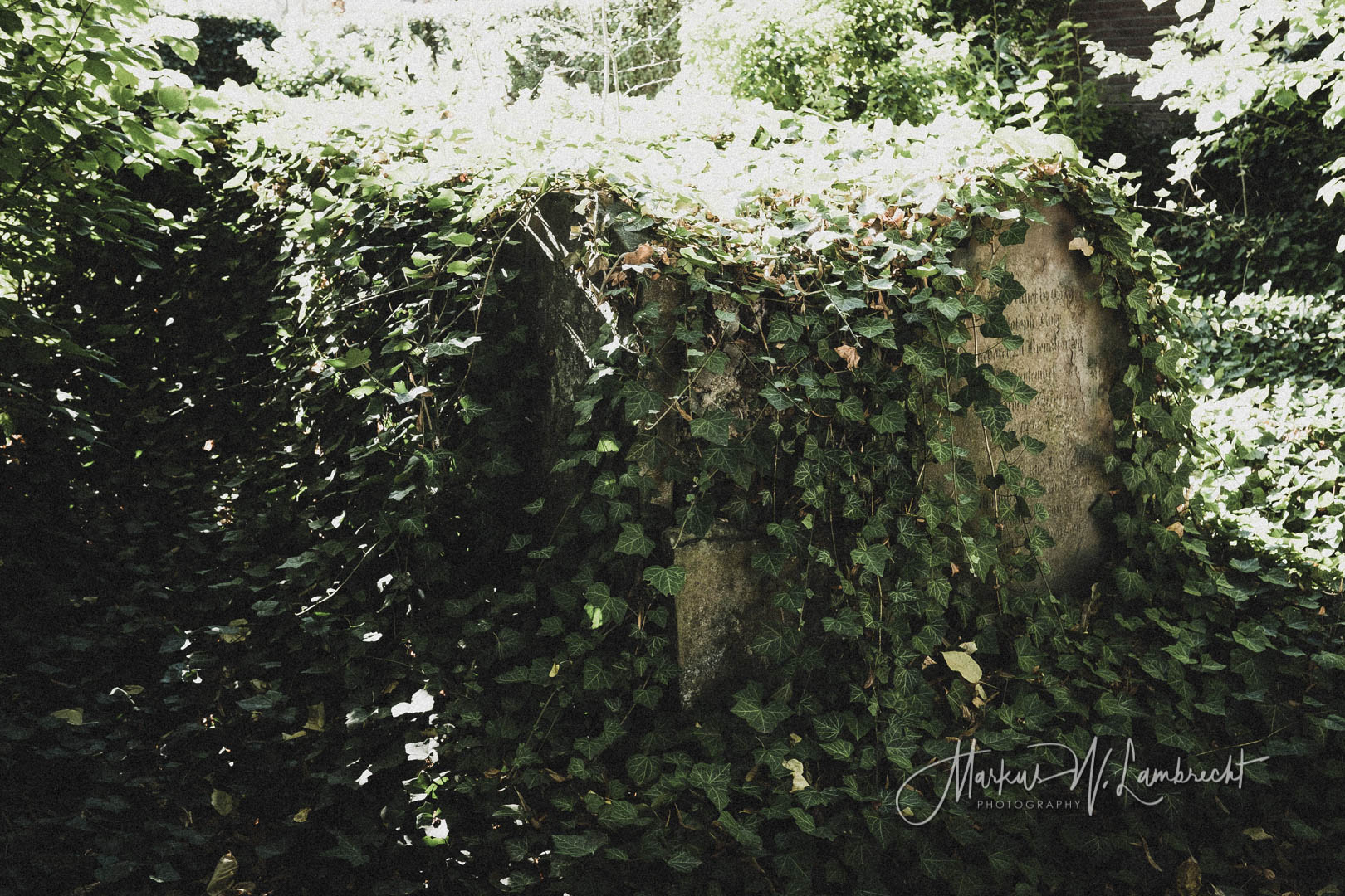 Höxter, Jüdischer Friedhof